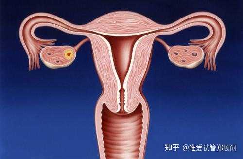 北京试管助孕哪个医生好,3-11岁未成年第二针打北京科兴还是生物好？
