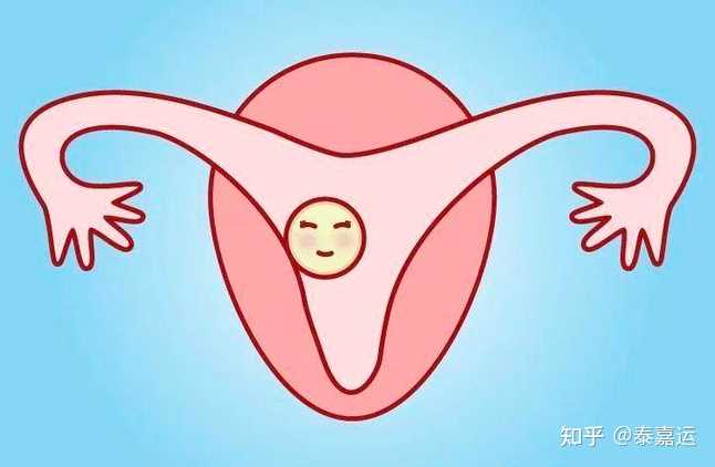 北京协和医院做三代试管婴儿胚胎移植费用是多少？